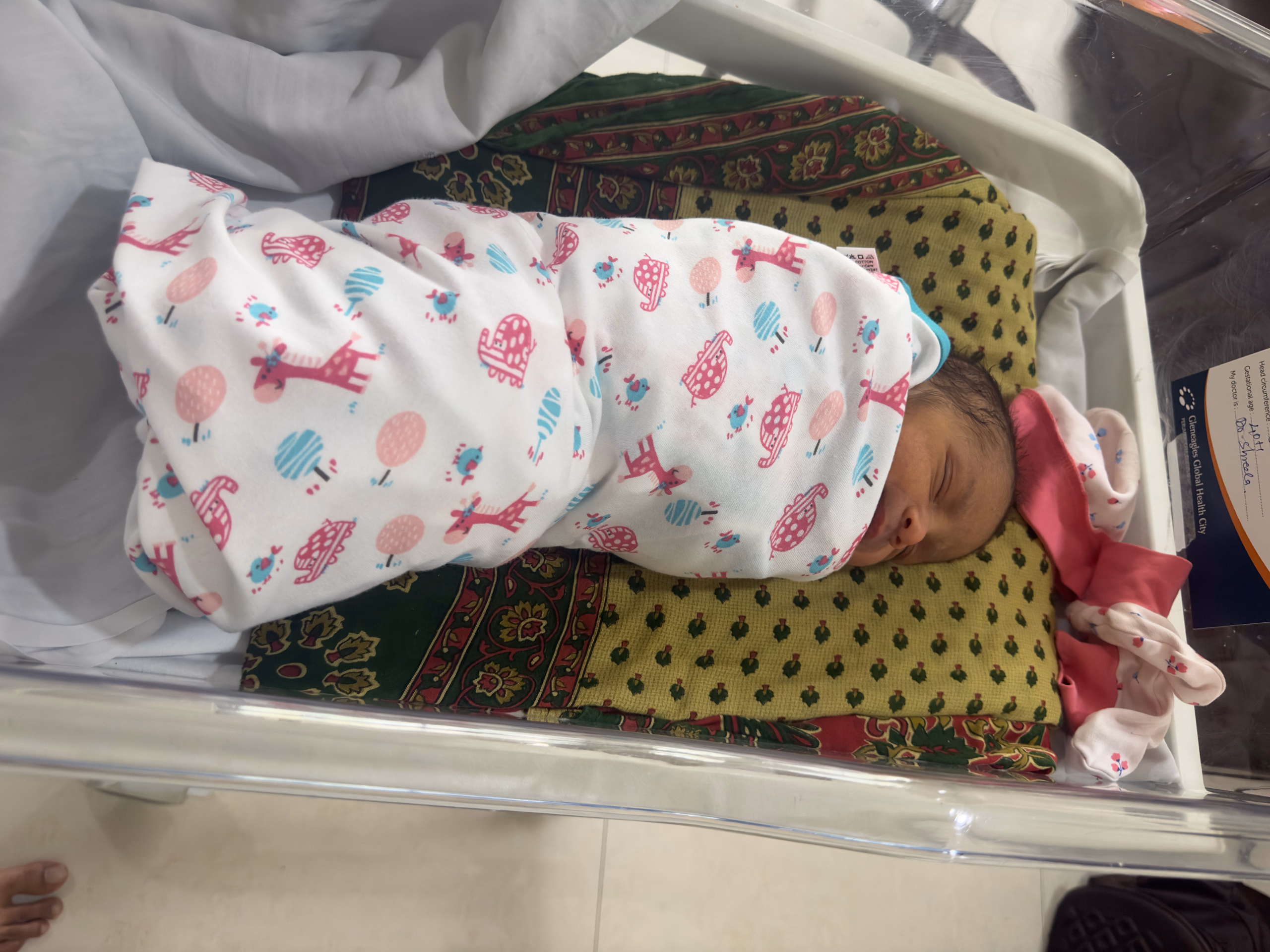 The Day He Was Born